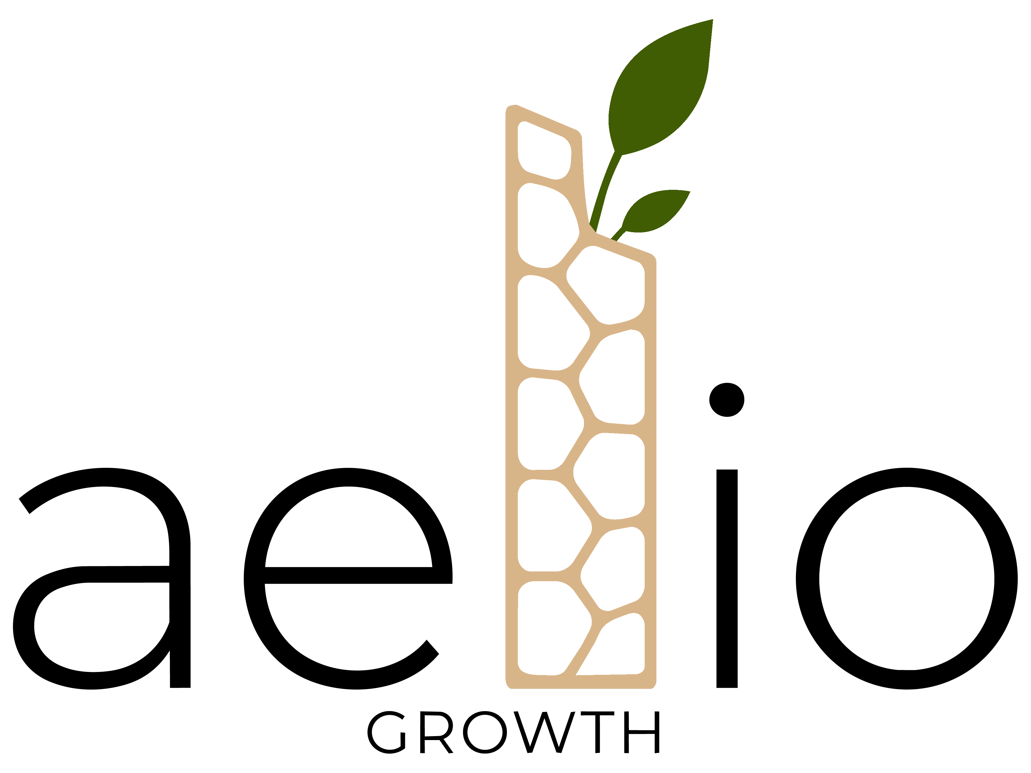 aelio growth
