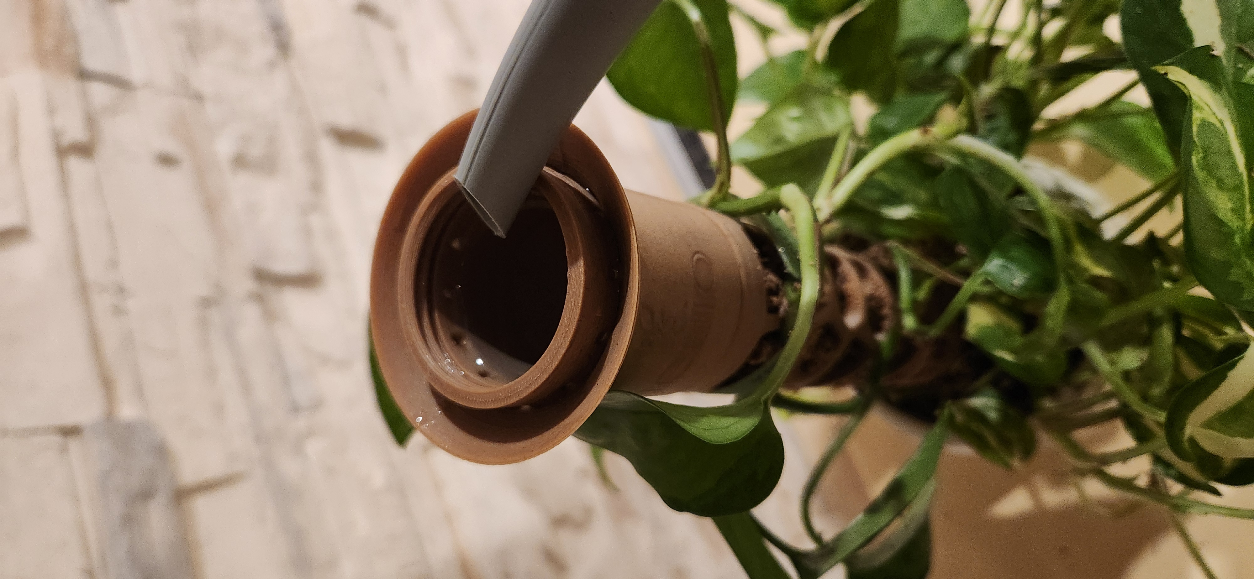 aelio growth in action